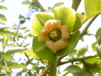 �x�L�`�@��