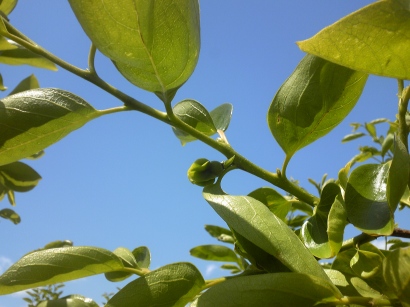 �x�L�`�@�Q