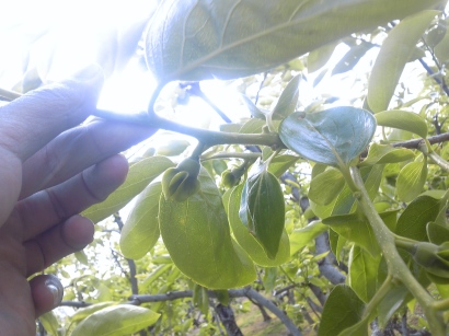 �E�Q�@�x�L�`