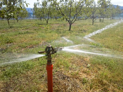 �X�v�����N���[