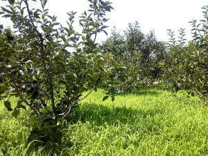 ���_��@�`